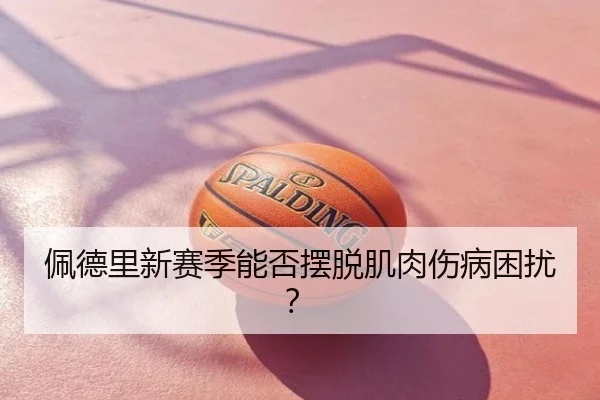 img_1783243139011_825_1_391.jpg